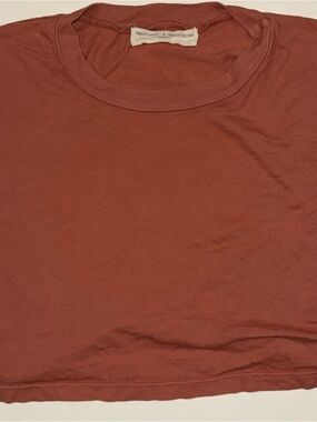 Project Social T  URBAN OUTFITTERS Short Sleeve Crewneck T-Shirt in Rust Red